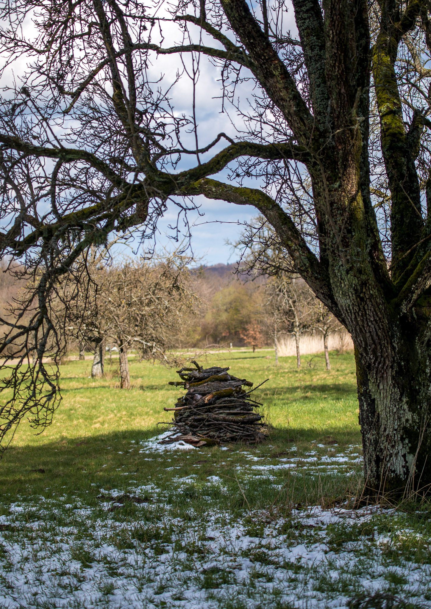 20220409153811 RD4 6499